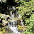 IMG 0635