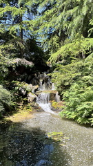 IMG 0634