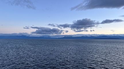 IMG 0538