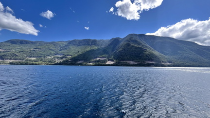 IMG 0537