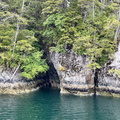 IMG 0504