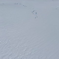IMG 0393