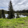 IMG 0306