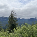 IMG 0304