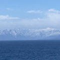 IMG 0173