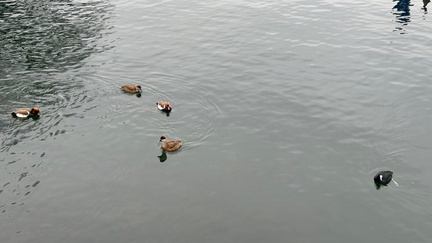 CF9797AE-2286-4B4D-A22D-519D0EE76FAC 4 5005 c