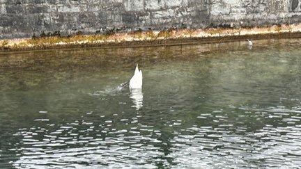 375D19F6-7288-468B-A829-47D6689EA06A 4 5005 c