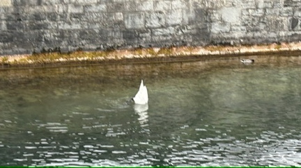 FC3143FF-E130-4855-9CDD-AFC13BC87E5E 4 5005 c