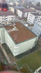 3F607BAF-D6B0-4AC9-8CDE-362D0526D9B3 4 5005 c