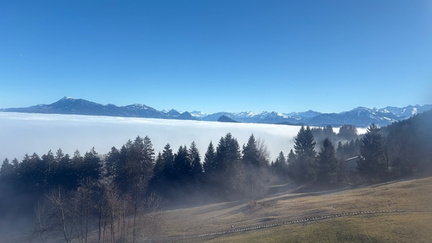 12F11E0C-660F-42D0-879E-CC7DEB61993B 4 5005 c