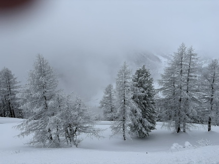 8F786146-4930-4588-BBB6-6CAFE4EEB4CA 1 105 c