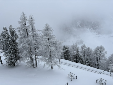 616D6A23-5B3C-416F-9F61-BF14721A123F 1 105 c