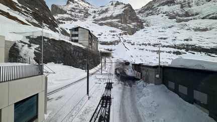 B987EEBF-4FE5-4A74-A2AE-8D9C573036C2 4 5005 c