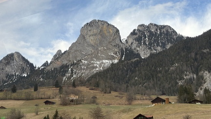 FCD53B05-2347-4354-B0A9-19307323B2ED 4 5005 c