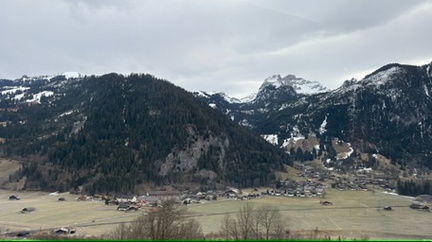 BB9BCB1C-1557-4135-9F24-450DCC3F2375 4 5005 c