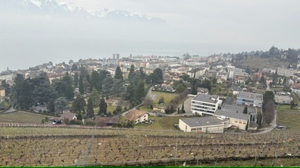 E816FF3D-776C-4C6A-946E-5773FCD22DA6 4 5005 c