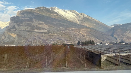 05B736FA-4D39-4351-83FC-86ADB3BB2003 4 5005 c