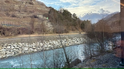 0C3BC305-3F0C-4668-90C5-CA233D933F77 4 5005 c