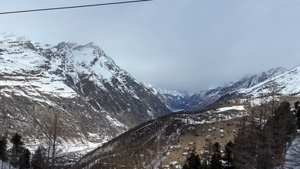 BCC53EF7-F82C-4D63-9DD8-D030958C4817 4 5005 c