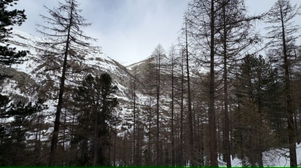 072F2C40-3D54-4017-9A45-87466C62EC1D 4 5005 c