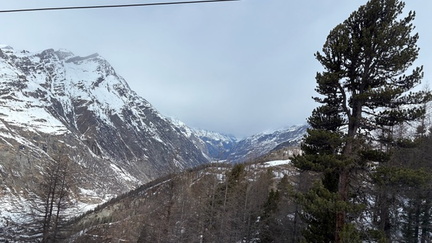 06CD4093-50D4-452A-87F9-FEF9AD82A08B 4 5005 c