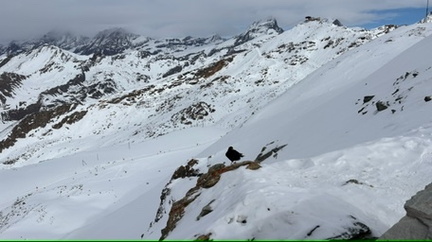 0FACD94C-C056-46ED-8E5B-E6861079BBA4 4 5005 c