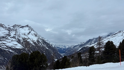 FE986D54-4B14-441B-B1A8-6F5535AE66F3 4 5005 c