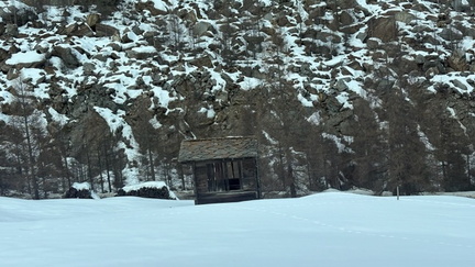 1556261A-E59F-4D08-92FA-A7D14E9759BC 4 5005 c