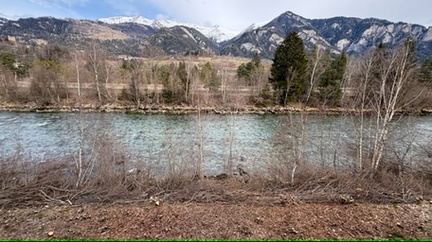 10DF177C-2C7E-466F-97F3-F4D9FF88A184 4 5005 c