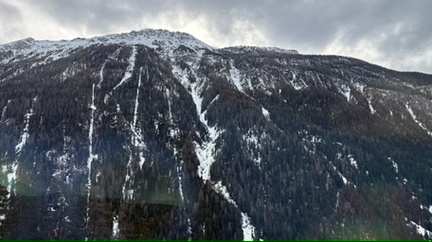 0BDABC2A-25F4-43A8-8D93-36F1BDAED4D2 4 5005 c