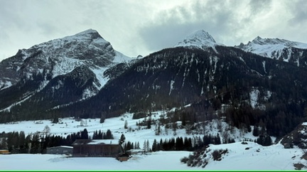 35152A37-0C0E-443E-AA3F-4B64CEB0767F 4 5005 c