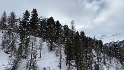 FEE43B98-08A4-42BD-BB97-C199B901A61D 4 5005 c