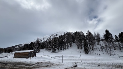 FD9E9BE2-C638-45B5-8613-341C3348A213 4 5005 c