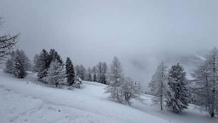 15BB1123-B956-4CC5-9196-2E04190305A1 4 5005 c