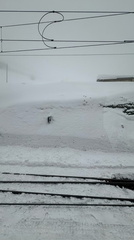 05AC86D9-3206-4006-A1C7-7D2AF34144E2 4 5005 c