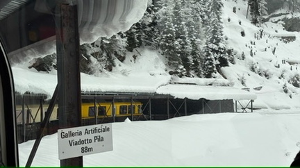 04705328-A086-4B81-99C9-39187DF3C651 4 5005 c