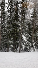 1F93CEB2-D620-4F09-9A6E-B7BF52A59CF0 4 5005 c